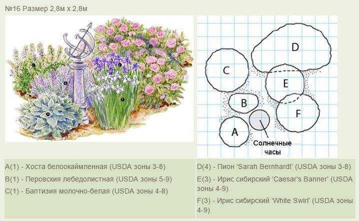 Флоксы: 125 фото идей применения растения в дизайне сада или участка