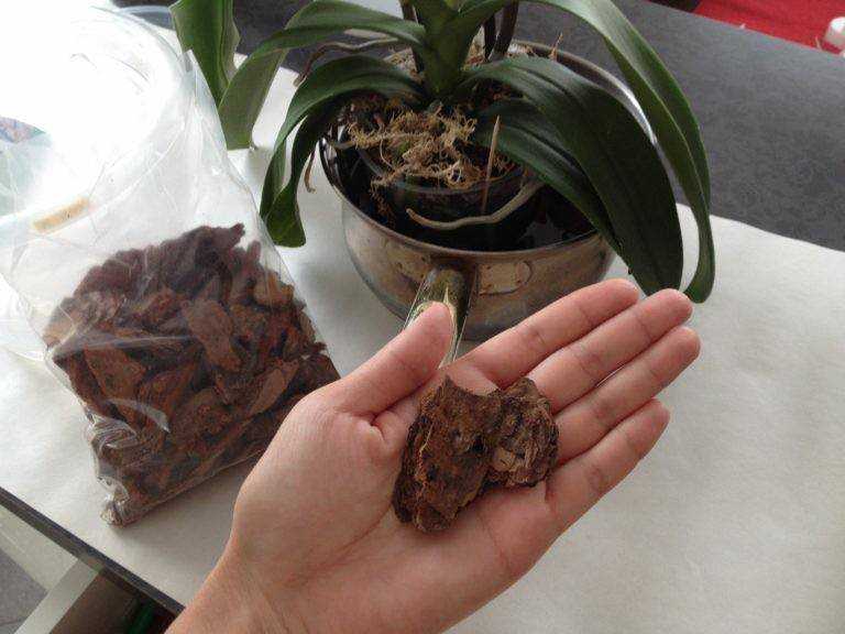 Делаем грунт для орхидей своими руками - состав, пошаговое фото