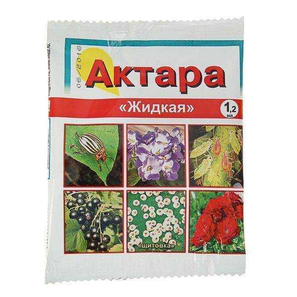"актара" для комнатных растений: инструкция по применению, отзывы - sadovnikam.ru