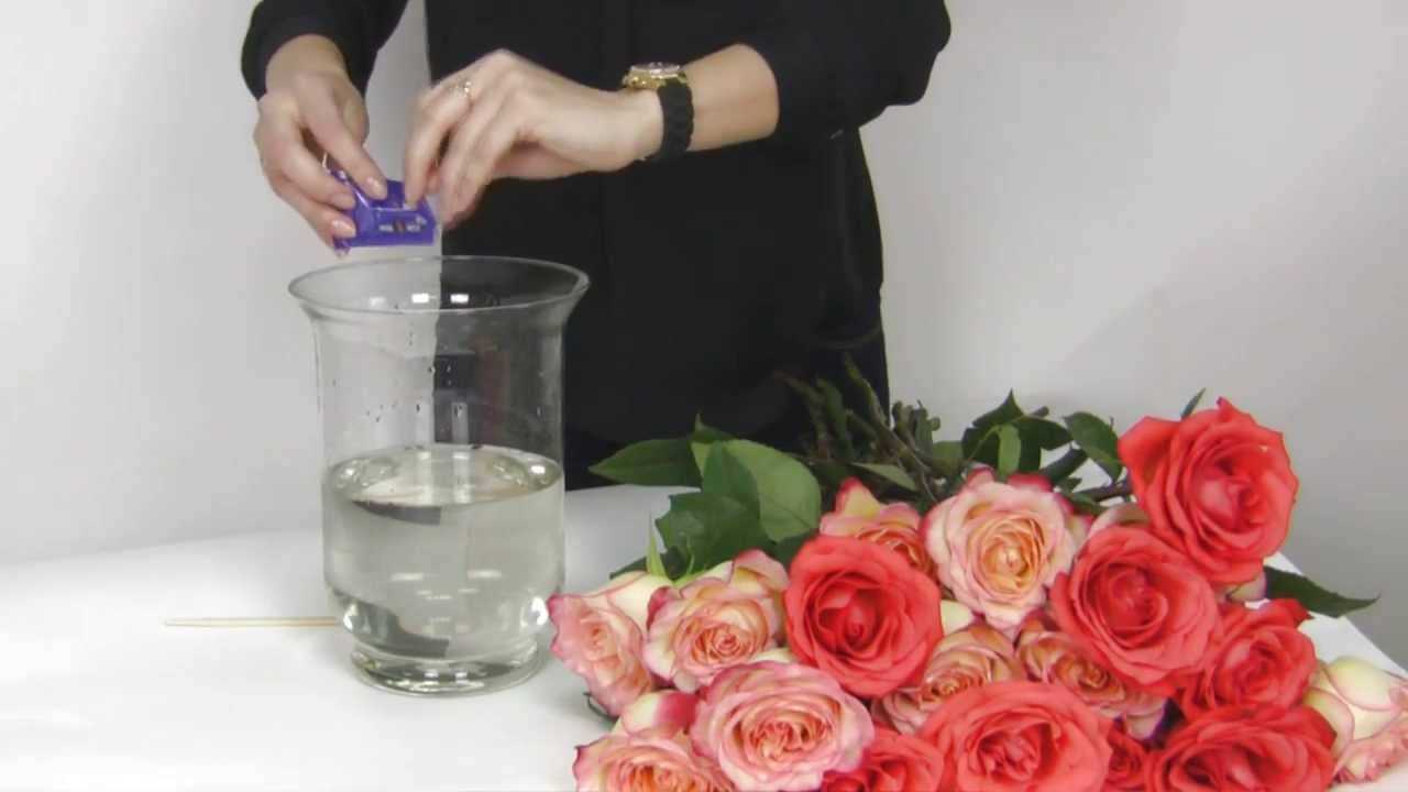 Как сохранить розы в вазе с водой дольше: что можно добавить, как хранить срезанные розы