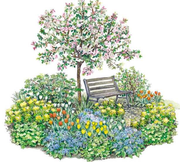 Что посадить под яблонями в саду, можно ли сажать мяту, землянику или цветы