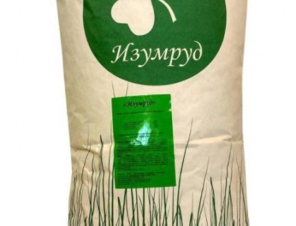 История о том, как мы сравнивали реальную всхожесть семяг газона