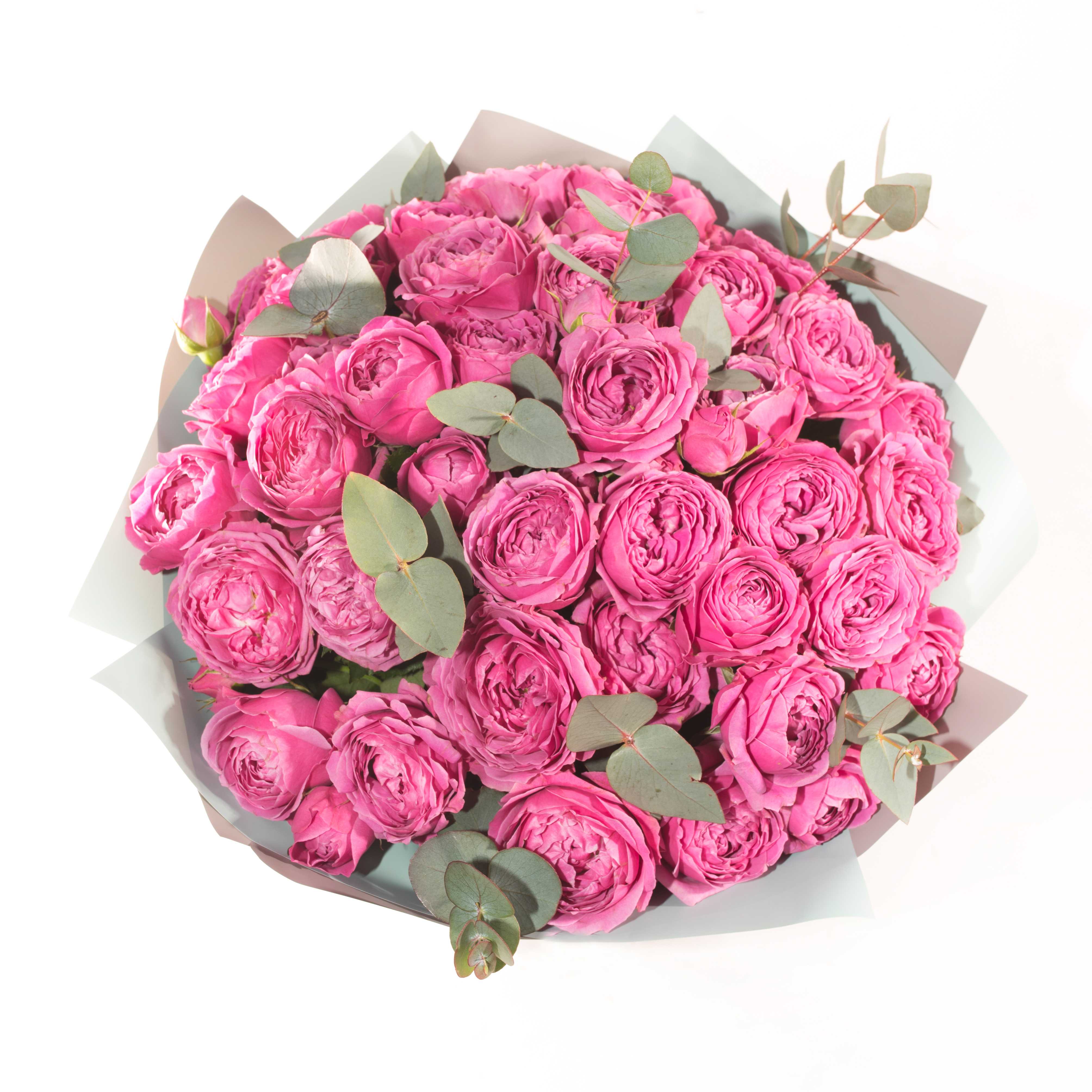 ✅ о розе misty bubbles: описание и характеристики сорта кустовой розы