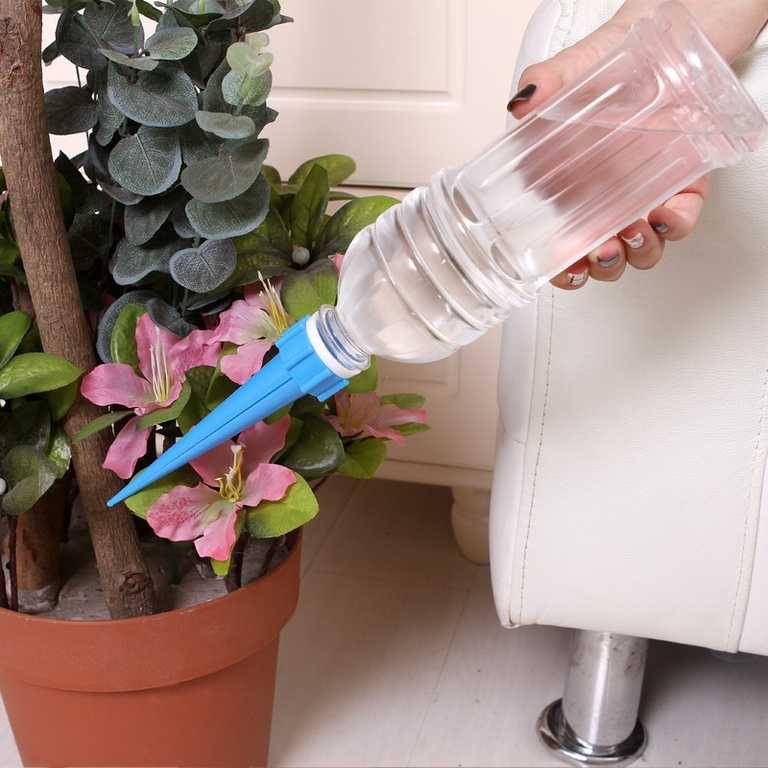 Как смягчить воду для полива растений в домашних условиях? - yandexcvety.ru