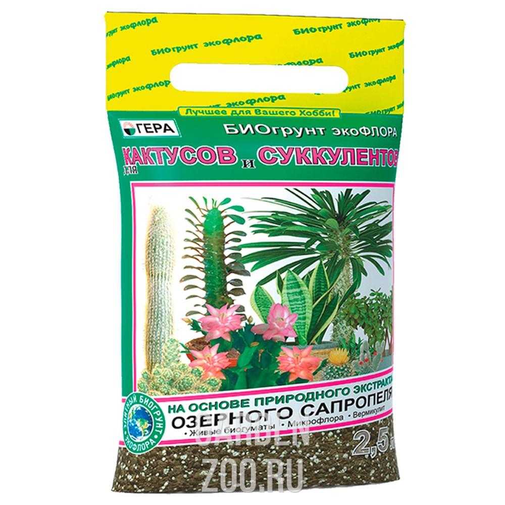 Грунт для кактусов: какой состав земли нужен, как сделать почву своими руками в домашних условиях, чтобы сажать растения, покупной субстрат, подходящий суккулентамдача эксперт