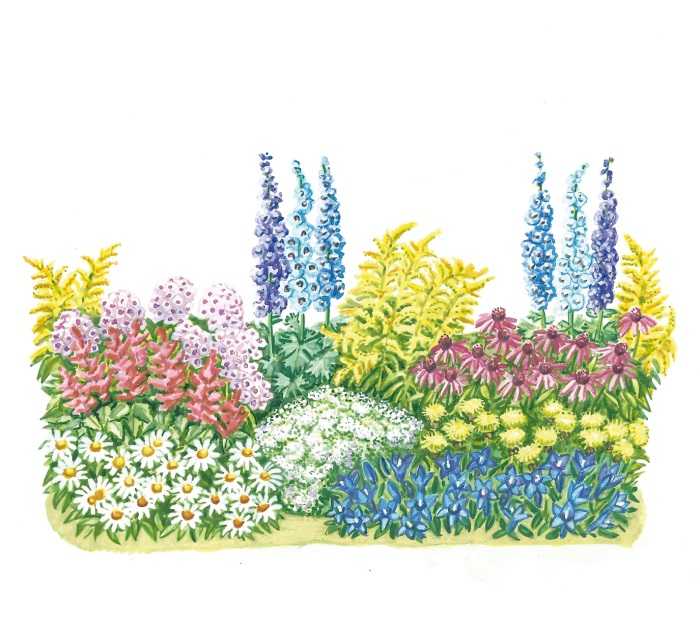 Клумба из флоксов: с какими цветами сочетаются, что посадить рядом в цветнике, пион, лилия