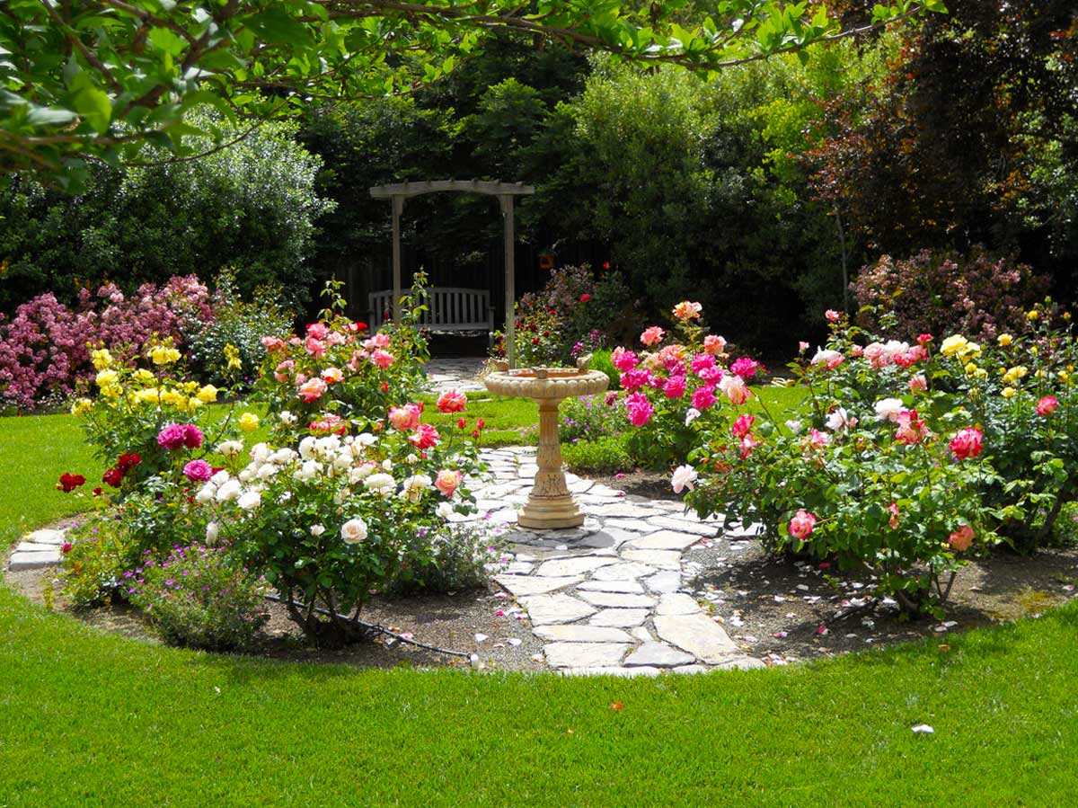 Розарий на даче — схема разбивки разных видов клумб и лучшие сорта для выращивания - огород, сад, балкон
                                             - 3 мая
                                             - 43683514484 - медиаплатформа миртесен