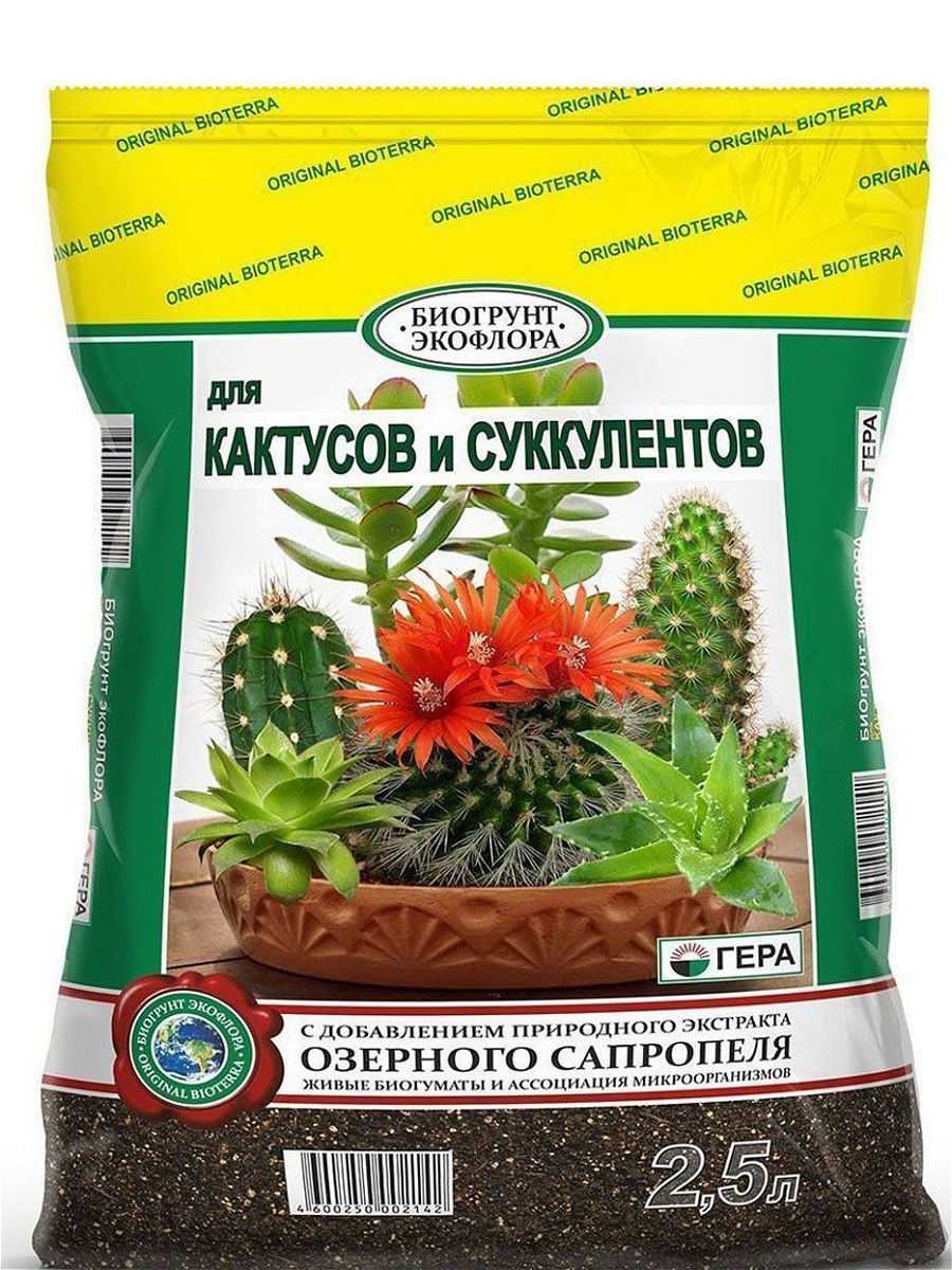 Грунт для кактусов: какие нужны компоненты для приготовления смеси