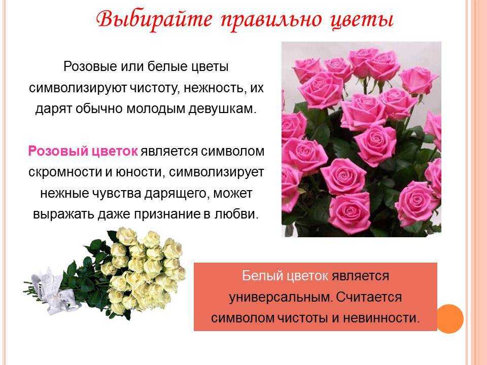 Сколько роз можно дарить девушке: выбор цвета и количества цветов