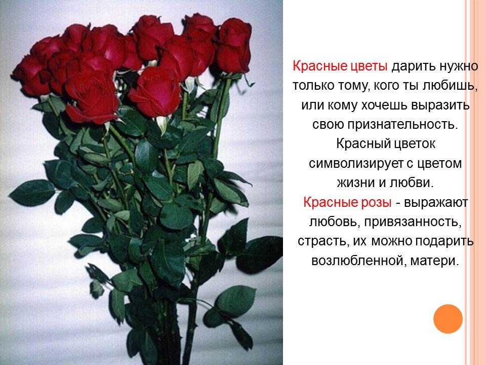 К чему дарят черные розы согласно народным суевериям