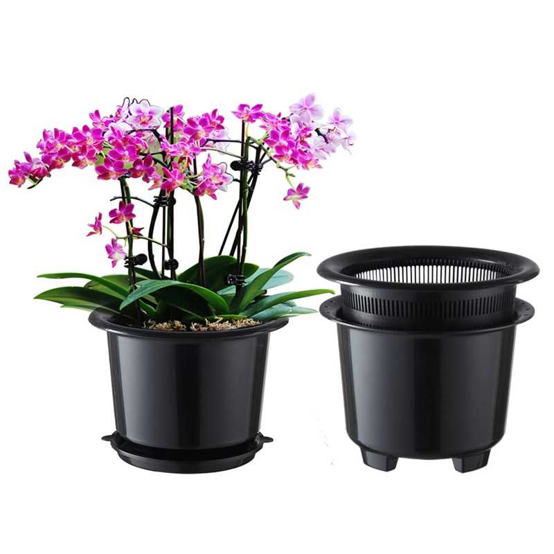 Кашпо для орхидеи: для чего нужно, какое оно должно быть, керамическое или прозрачное, пластиковое или стеклянное, как сделать своими руками?дача эксперт