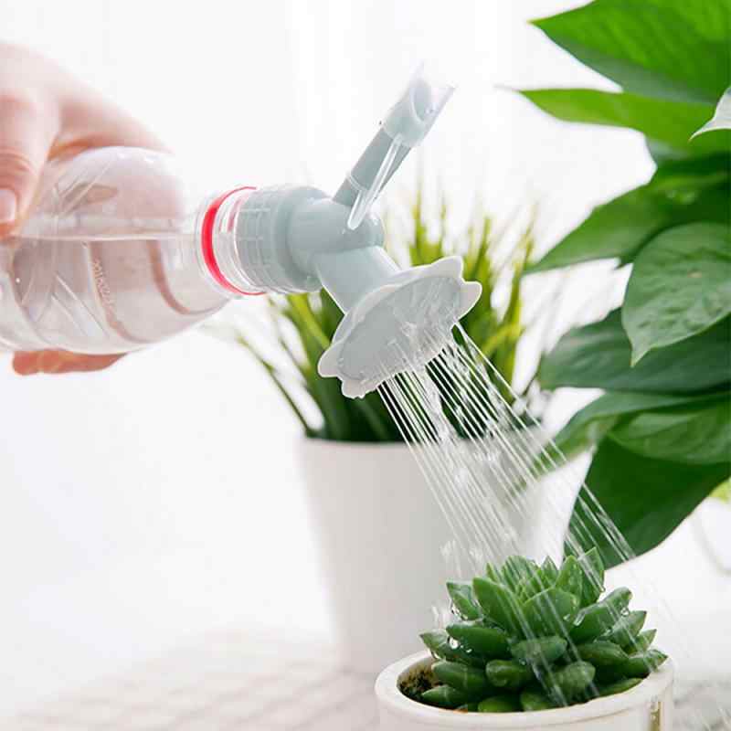 Азбука садовода: как правильно выбрать воду для полива комнатных растений - delfi