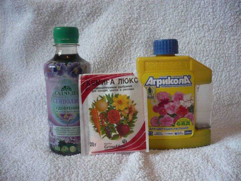 Чем подкармливать фиалки для обильного цветения в домашних условиях, как удобрить народными средствами и поливать витамином b12, чтобы добиться хорошего роста?
