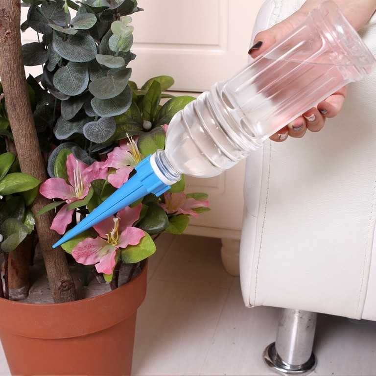 Делаем автополив комнатных растений своими руками: система автоматического полива цветов, рассады, саженцев в квартире и дома