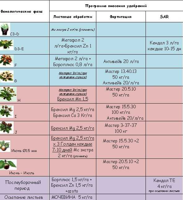Подкормка лилейников весной и летом: чем и когда удобрять для роста и цветения