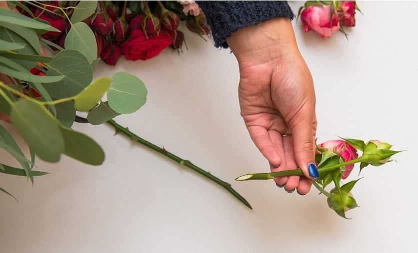 Как сохранить розы в вазе: срезанные цветы могут стоять дольше
