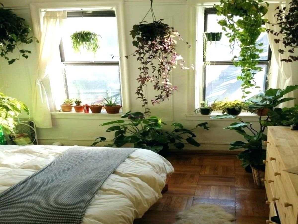 Благоприятные цветы для спальни: описания лучших видов для комнаты отдыха