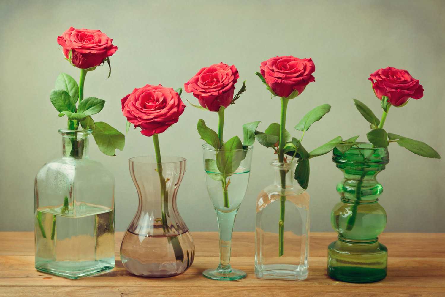 Как сохранить букет роз на месяц: правила хранения и ухода