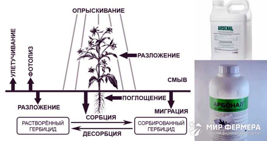 Гербициды для уничтожения кустарников и деревьев