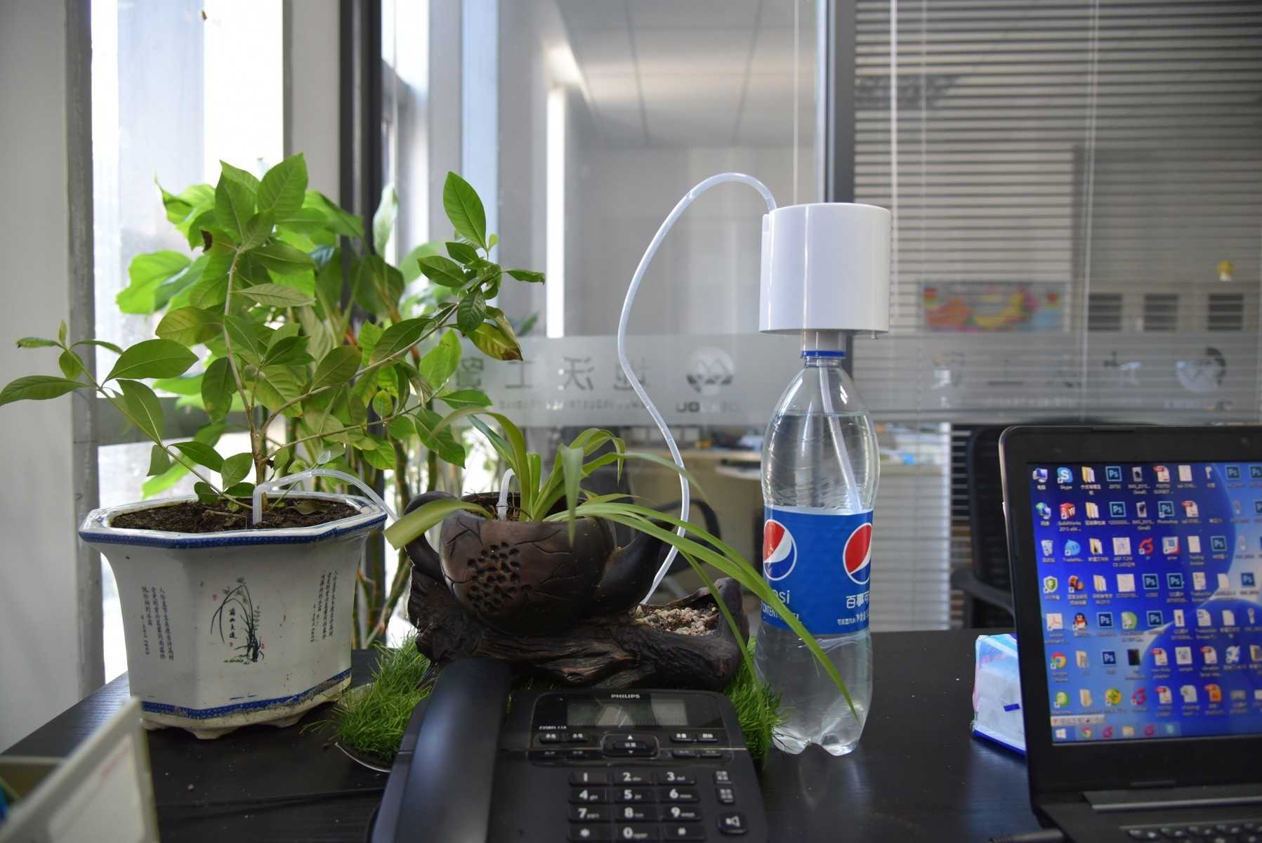 ᐉ как оставить растения без полива на 2 недели - godacha.ru