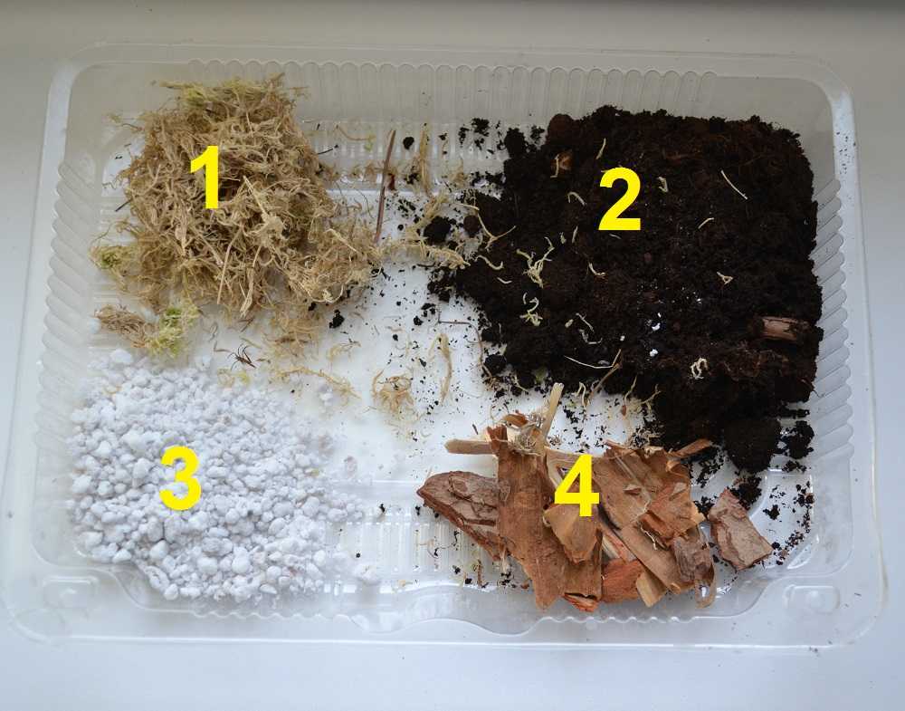 Почва для антуриума: какой грунт нужен по составу