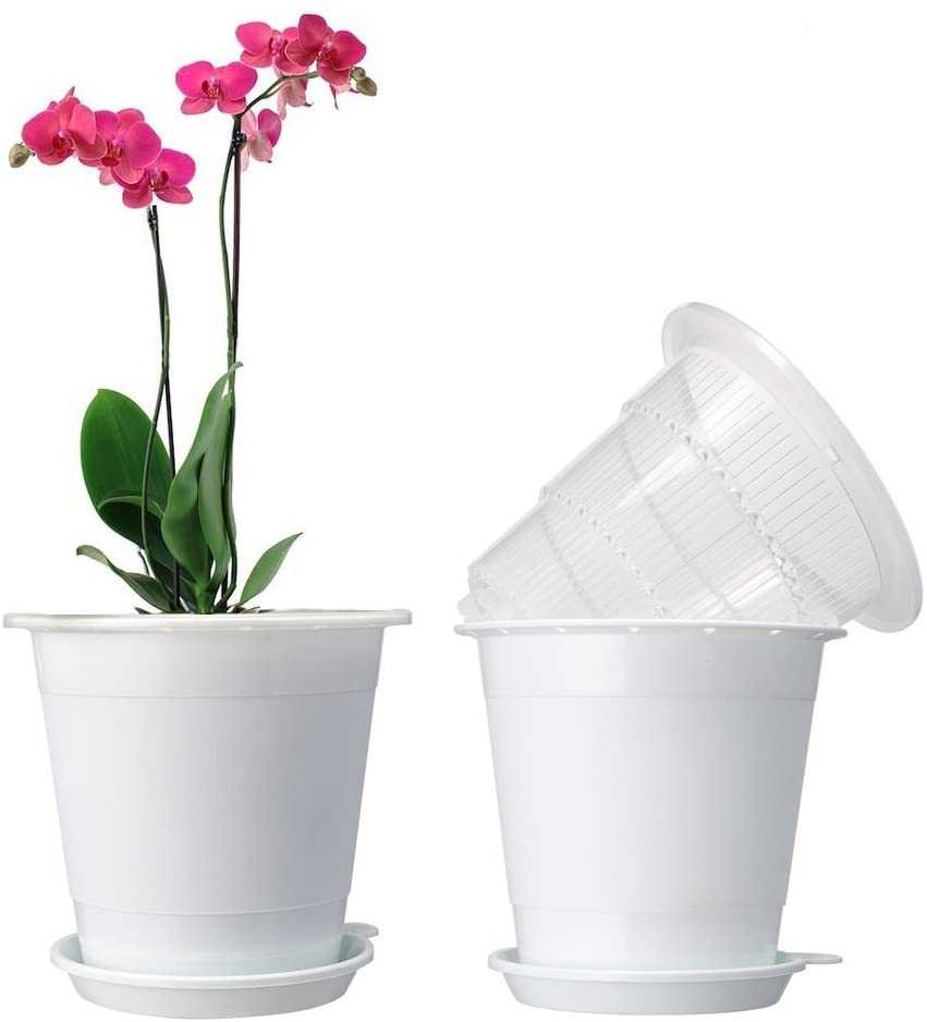 Какой должен быть горшок для орхидеи и фото правильных пластиковых емкостей, которые лучше подойдут для выращивания нескольких растений, а также нужны ли в них отверстия
