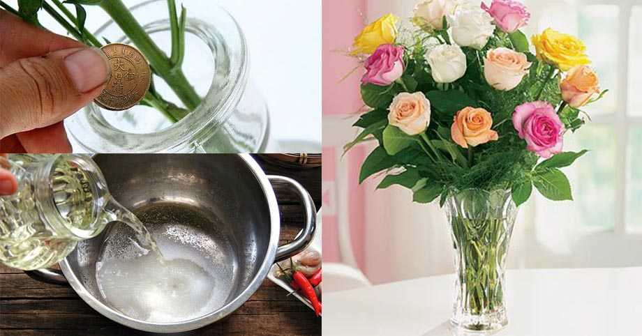 Как сохранить розы в вазе подольше - простые советы