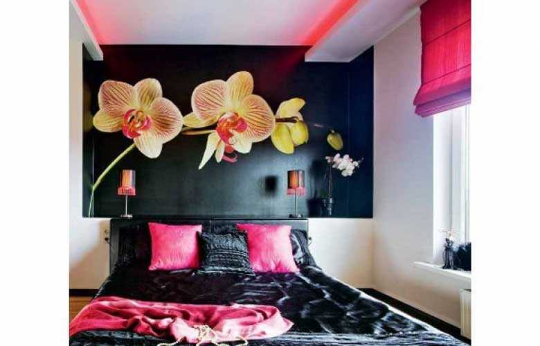 Цветок орхидея: народные приметы и суеверия для дома - можно ли держать в доме орхидею фаленопсис?