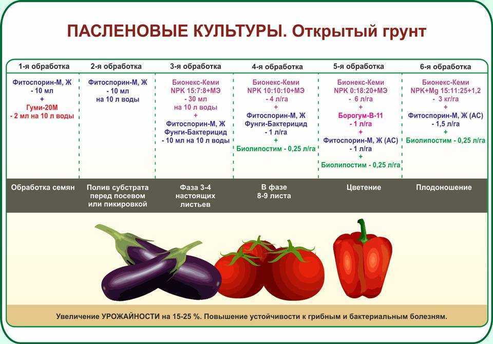 Семейство пасленовые: овощи. список, описание, характеристики. помидоры, картофель, баклажаны - sadovnikam.ru