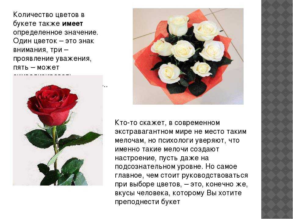 Цвета роз