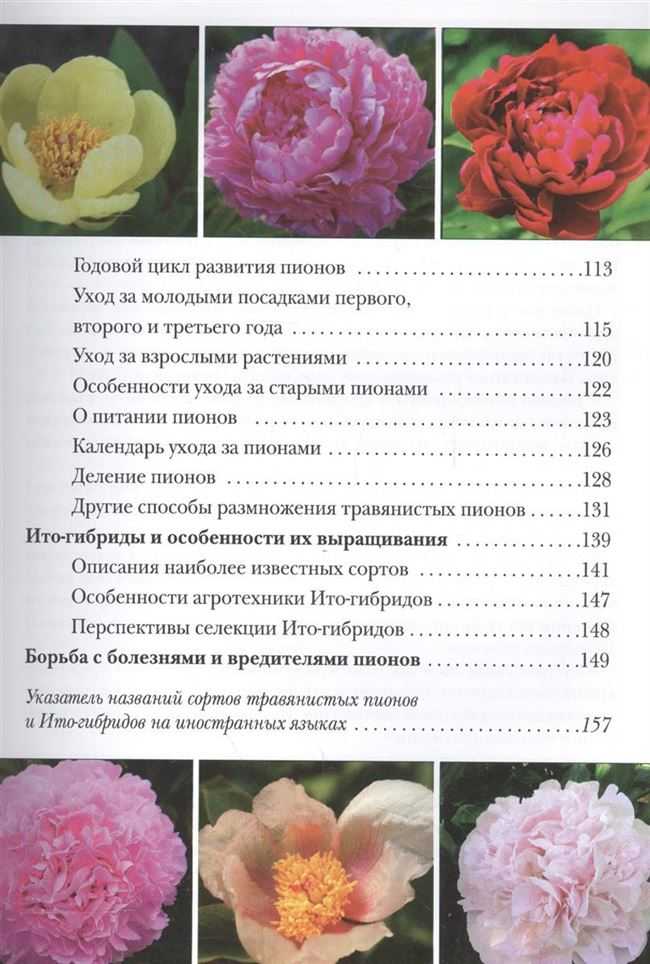 Пион миссис хемерик - дневник садовода flower-lucky.ru
