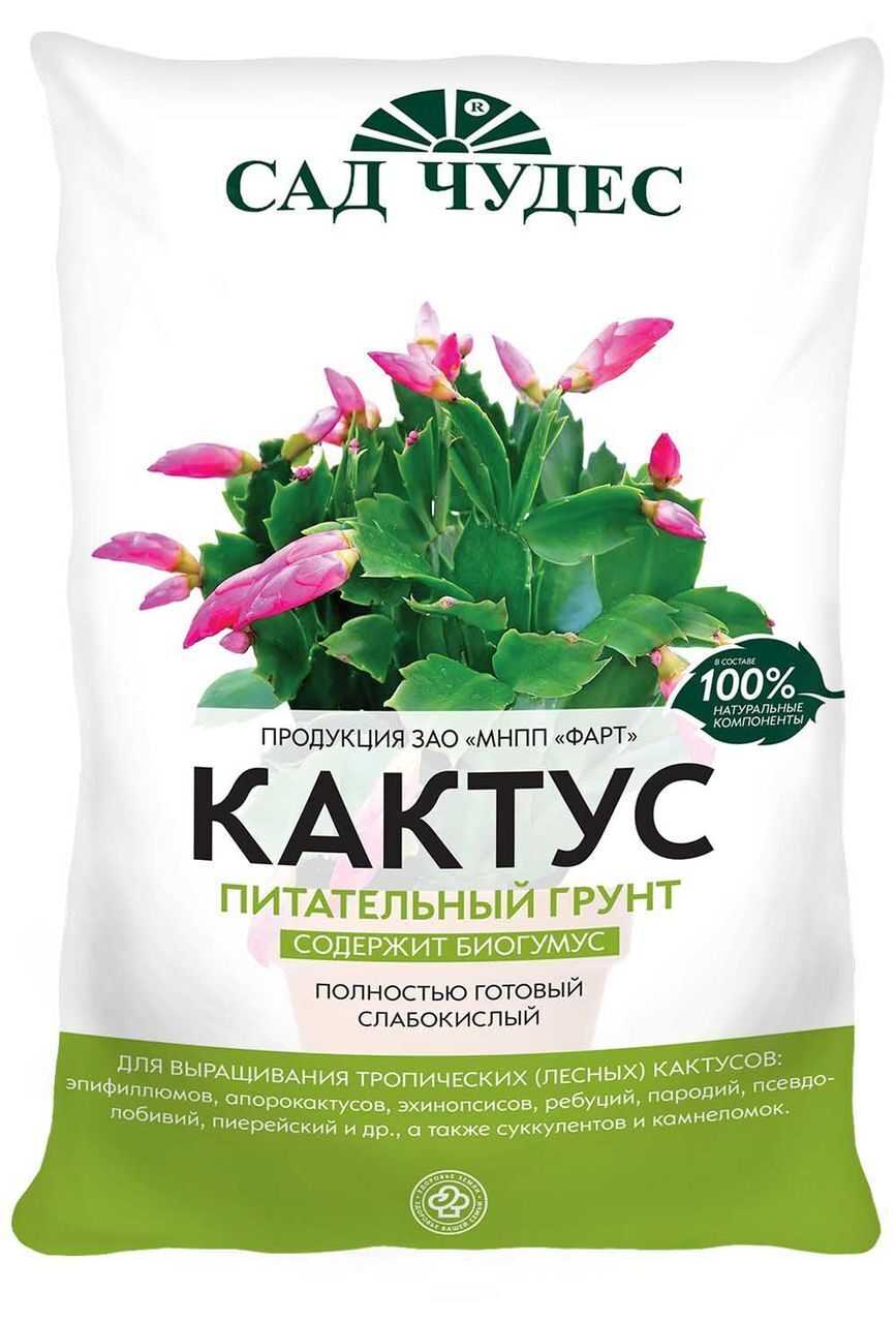 Грунт для кактусов: основные требования к почве и варианты в домашних условиях - pocvetam.ru